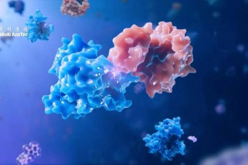 可降解體內任意蛋白？劉如謙團隊發表《科學》重磅