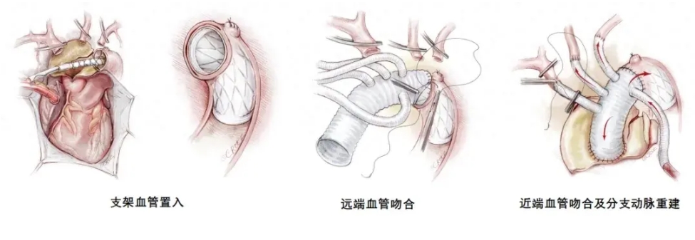 微信截圖_20240419085745
